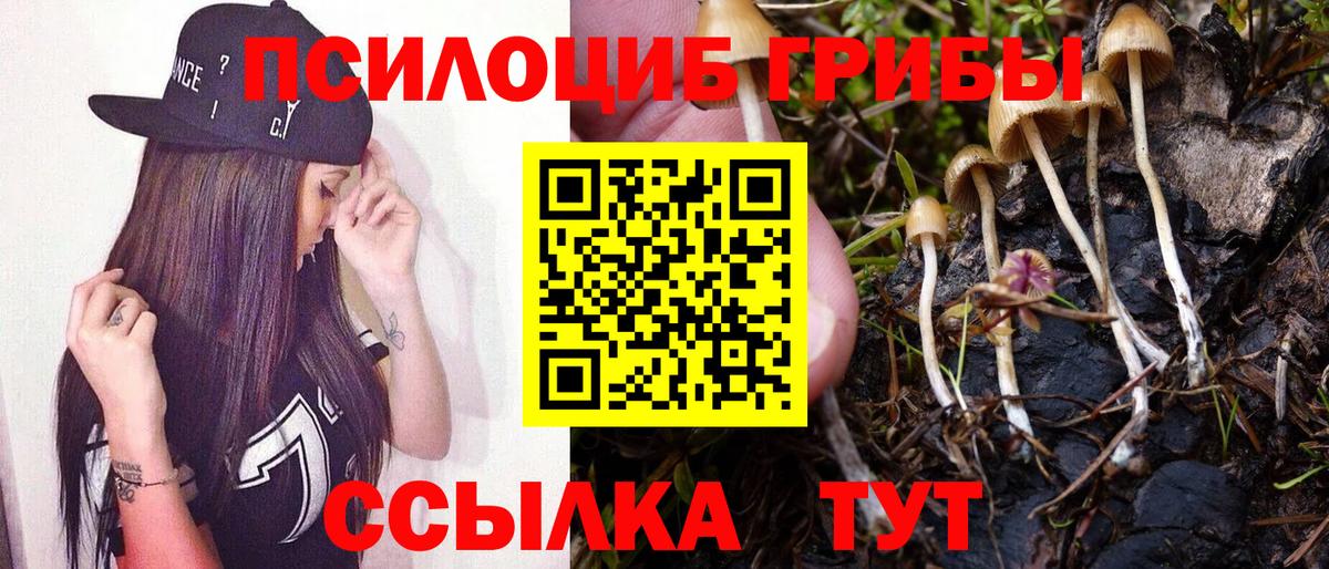 Галлюциногенные грибы мицелий  Вход с VPN  Урус-Мартан 