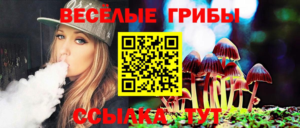 Псилоцибиновые грибы Psilocybine cubensis Урус-Мартан
